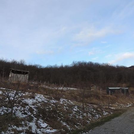 Casa Campagna Con Cavalli Pellegrino Parmense Exteriér fotografie