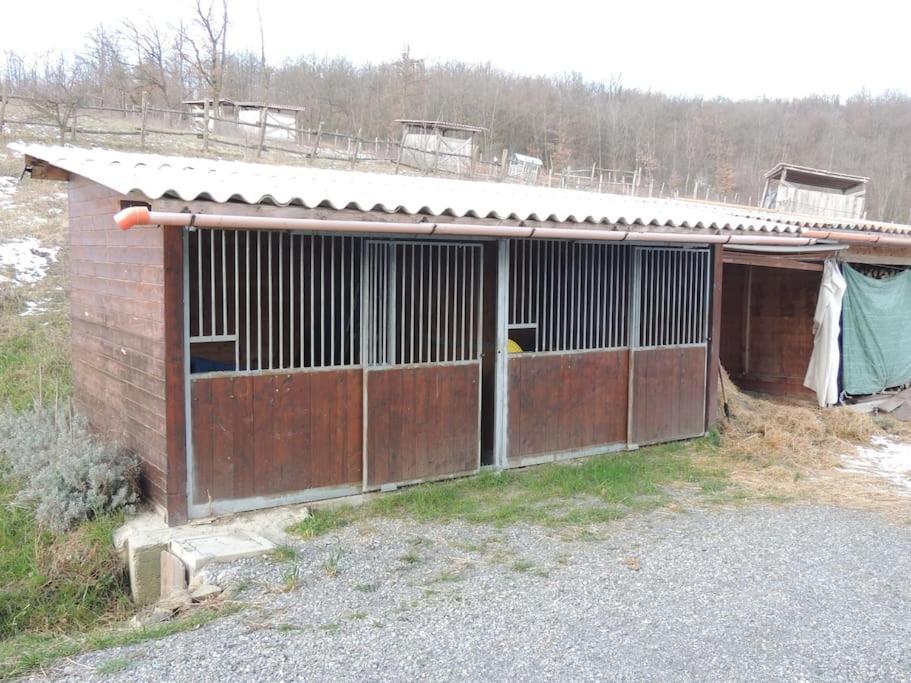 Casa Campagna Con Cavalli Pellegrino Parmense Exteriér fotografie