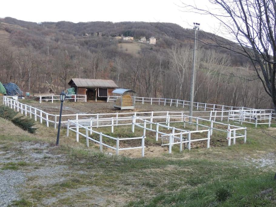 Casa Campagna Con Cavalli Pellegrino Parmense Exteriér fotografie