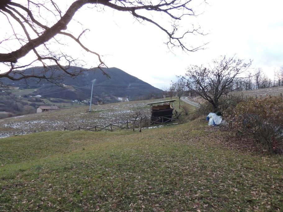 Casa Campagna Con Cavalli Pellegrino Parmense Exteriér fotografie