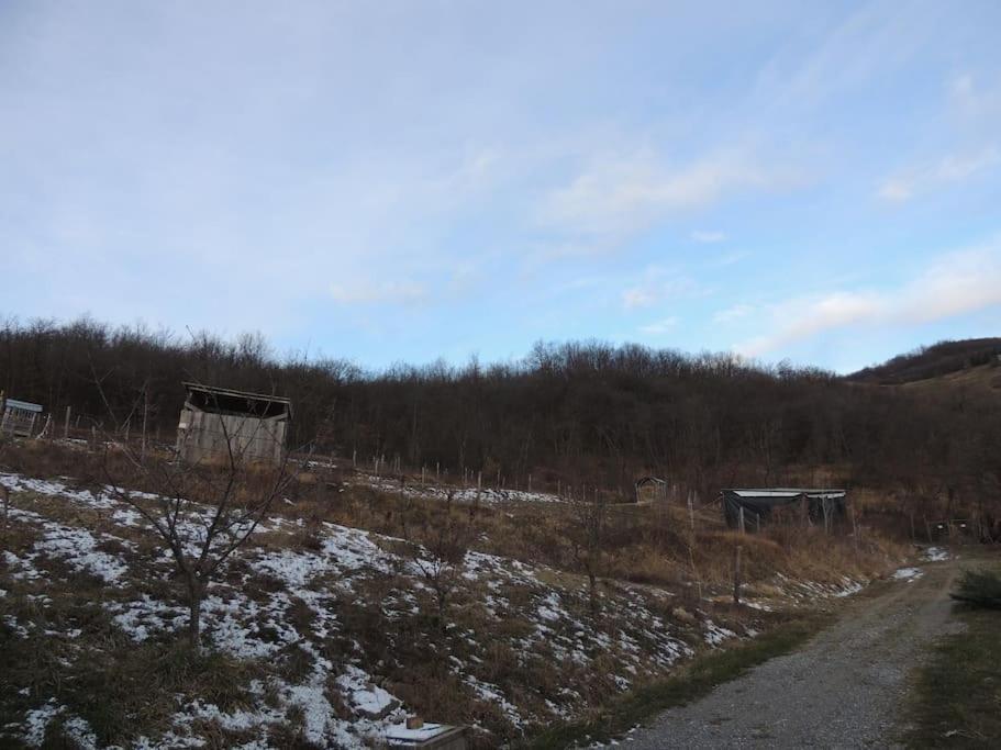 Casa Campagna Con Cavalli Pellegrino Parmense Exteriér fotografie